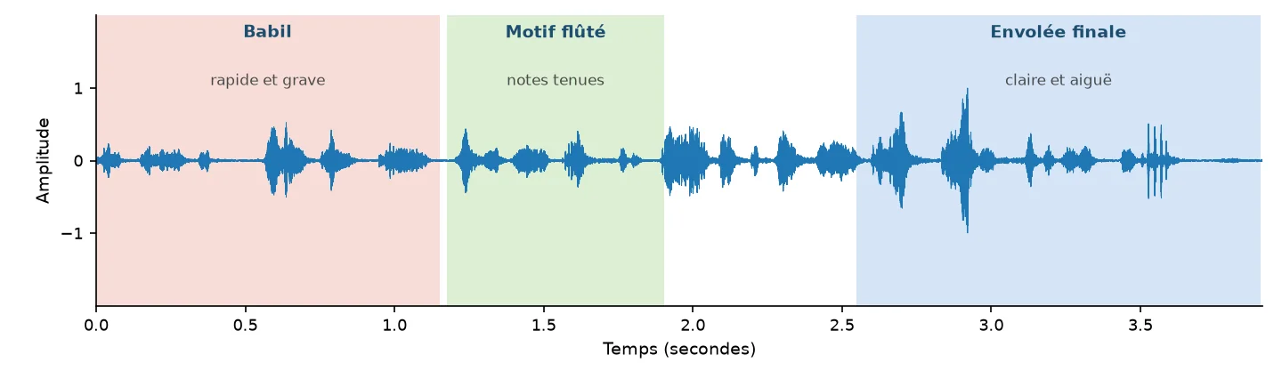 Forme d'onde de la strophe de la Fauvette à tête noire, 3,91 secondes