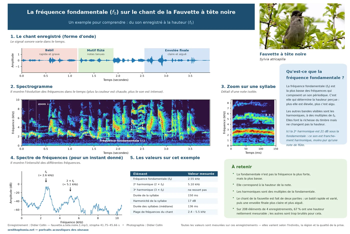 Planche pédagogique sur le chant : forme d'onde, spectrogramme, zoom sur une syllabe et spectre, avec une fréquence fondamentale de 2,55 kHz.